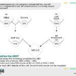 Case where a government holds a portion of the shares of the entity